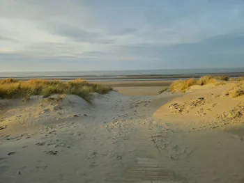 Oostnieuwkerke duinen wandeling in de koude (België)